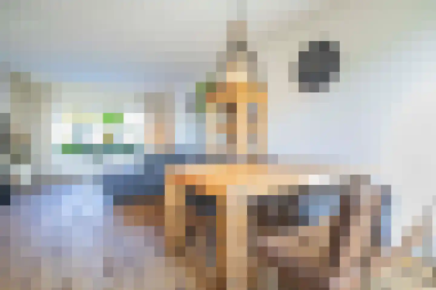 Rupelmondestraat 18 Arnhem thumbnail 11