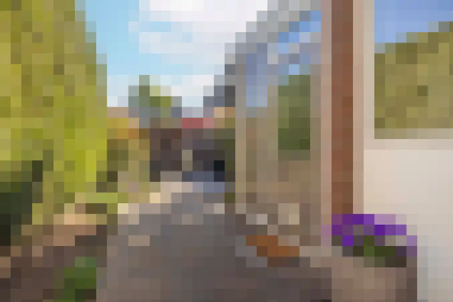 Rupelmondestraat 18 Arnhem thumbnail 27