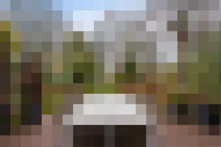 Rupelmondestraat 9 Arnhem thumbnail 36