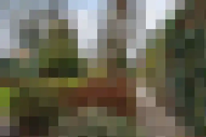 Rupelmondestraat 9 Arnhem thumbnail 37