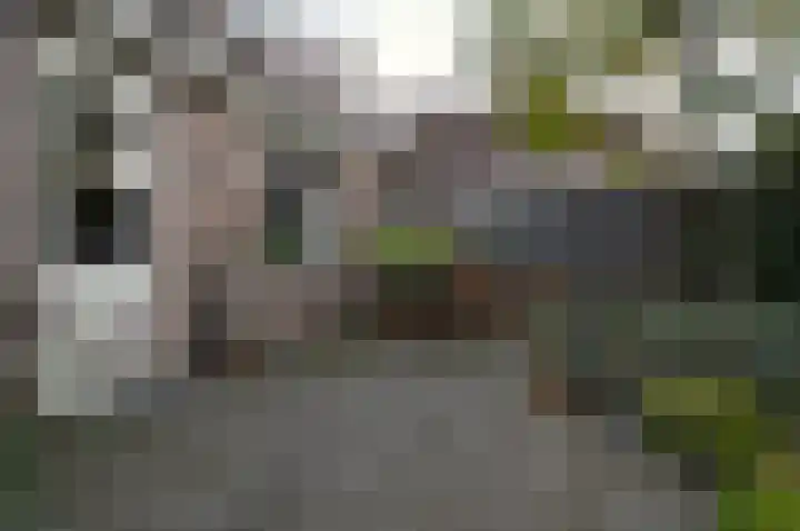 Rupelstraat 10 Helmond thumbnail 22