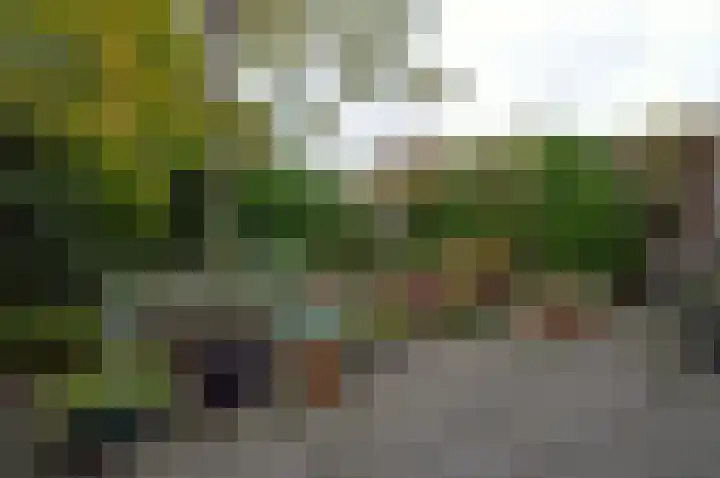 Rupelstraat 10 Helmond thumbnail 23