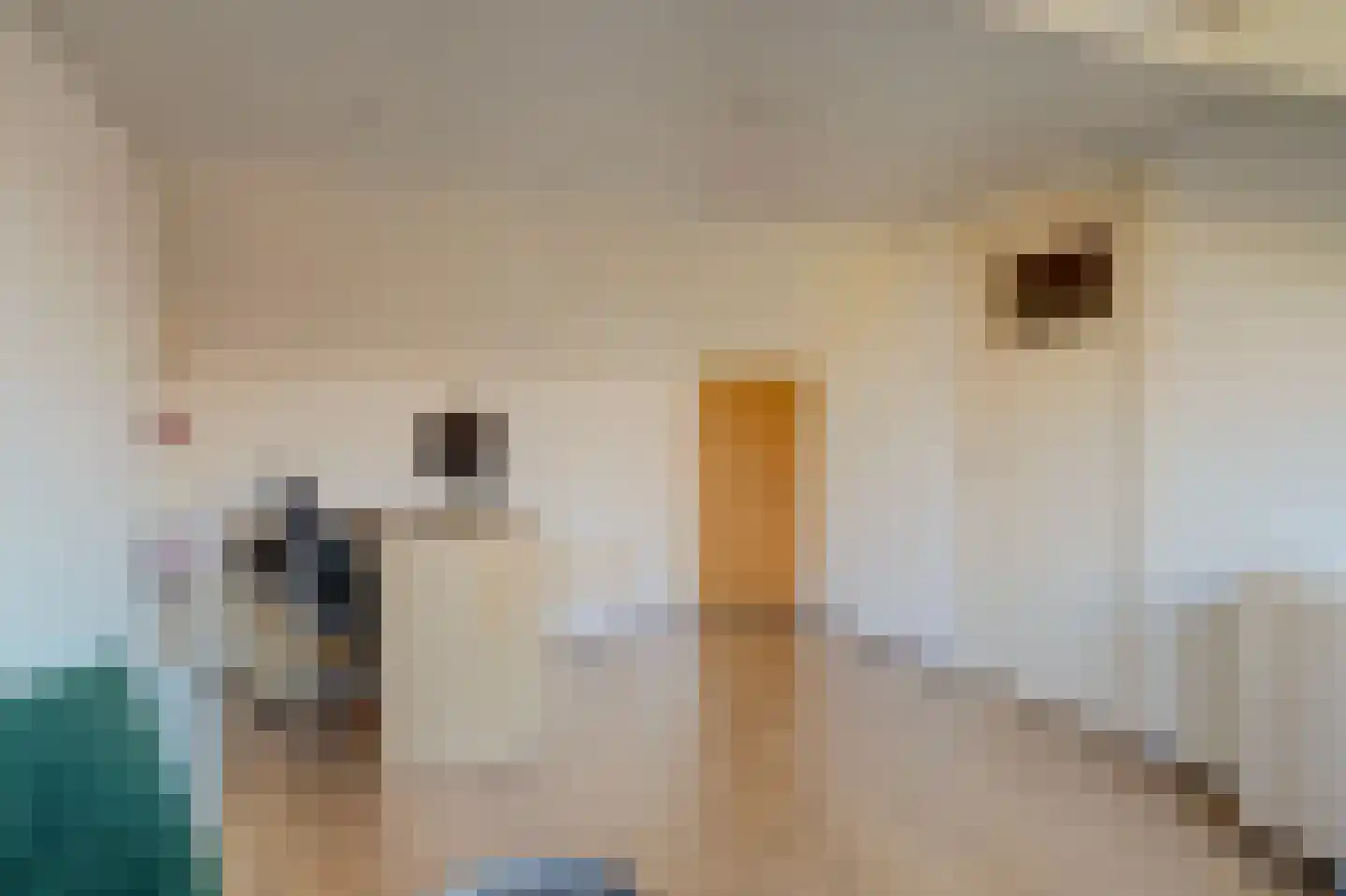 Rupelstraat 4 's-Hertogenbosch thumbnail 36