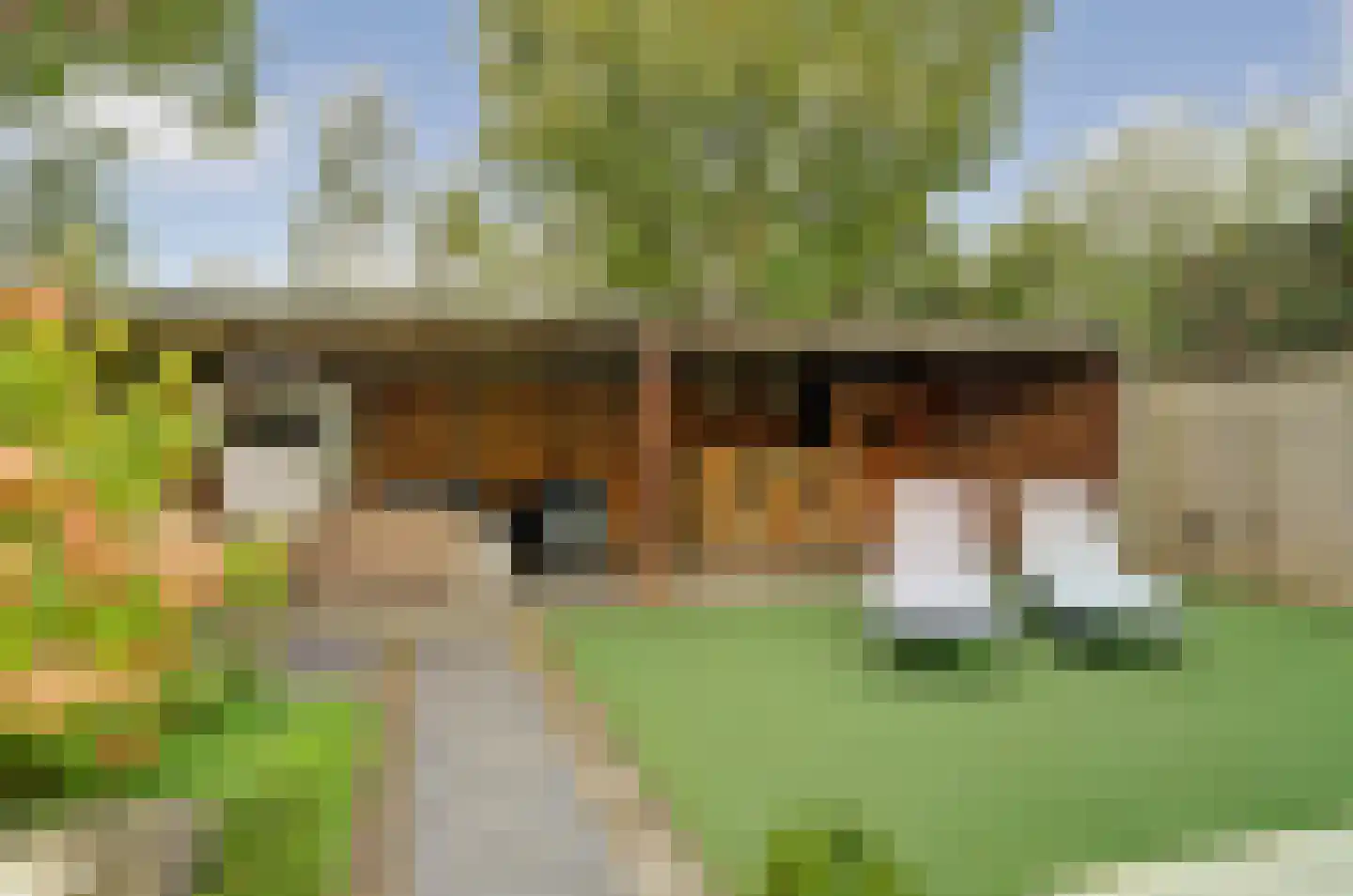 Rupelstraat 4 's-Hertogenbosch thumbnail 42