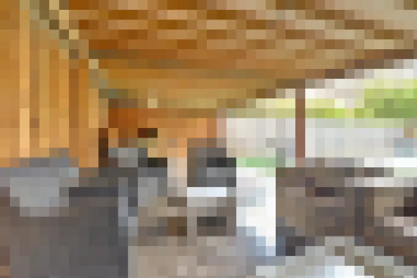 Rupelstraat 4 's-Hertogenbosch thumbnail 44