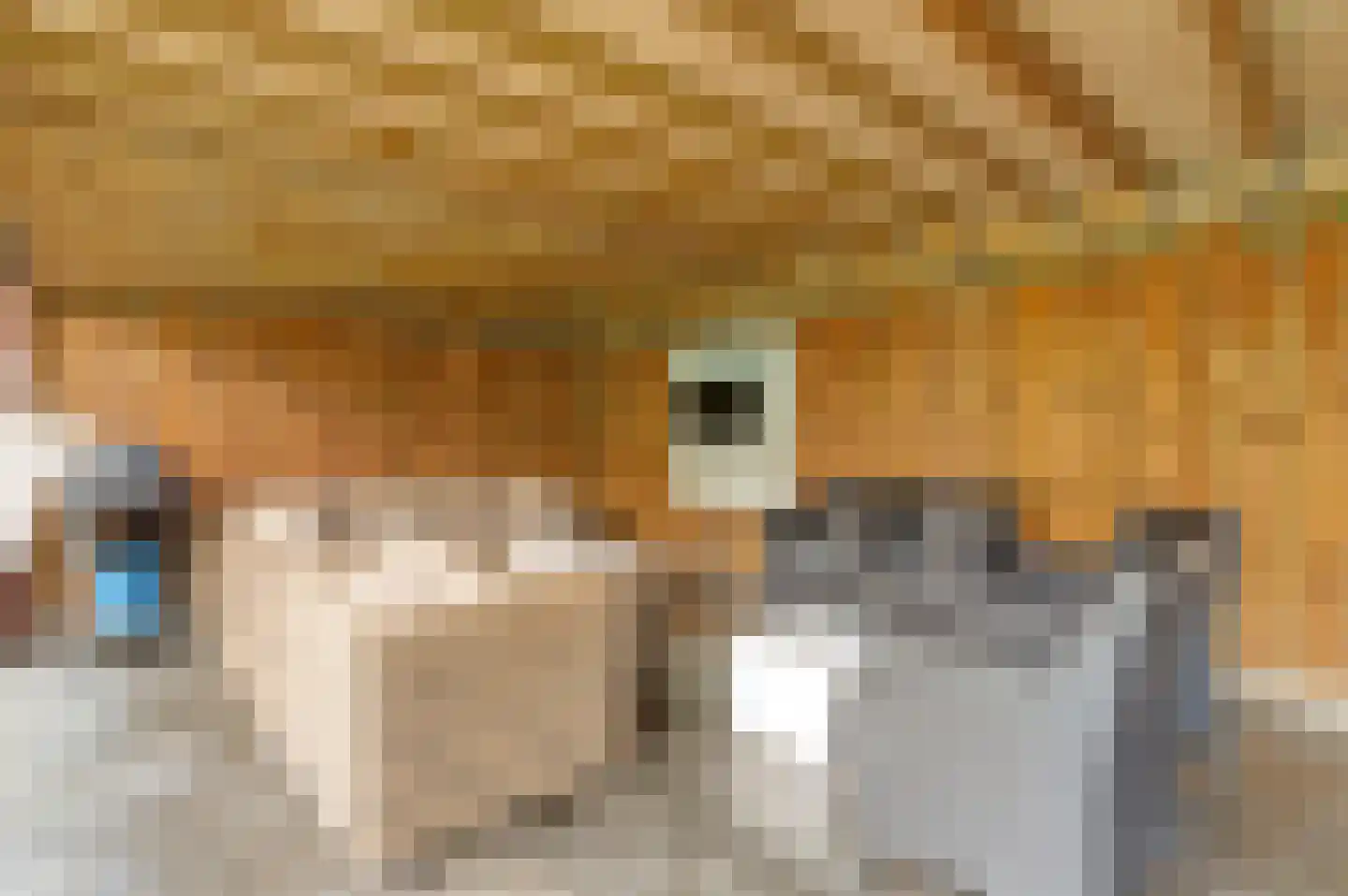 Rupelstraat 4 's-Hertogenbosch thumbnail 45
