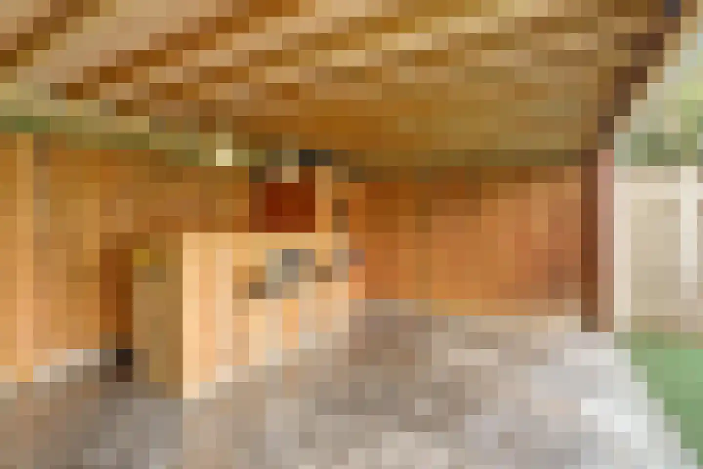 Rupelstraat 4 's-Hertogenbosch thumbnail 46