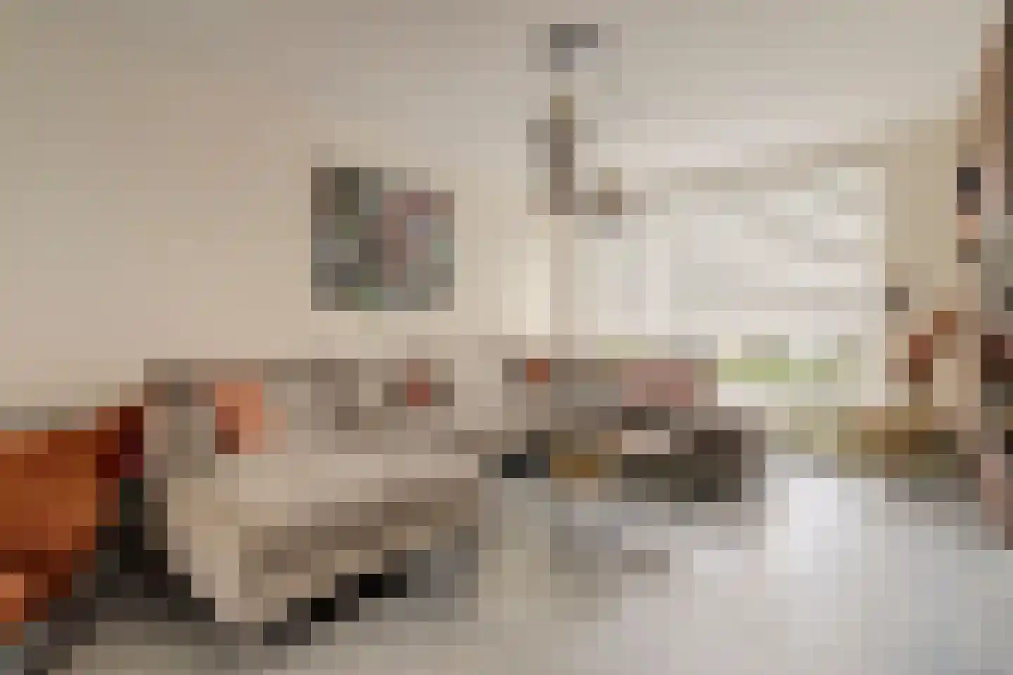 Rupelstraat 4 's-Hertogenbosch thumbnail 5