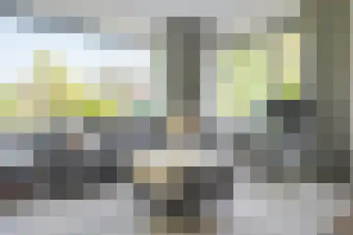 Rupperink 7 Delden thumbnail 19