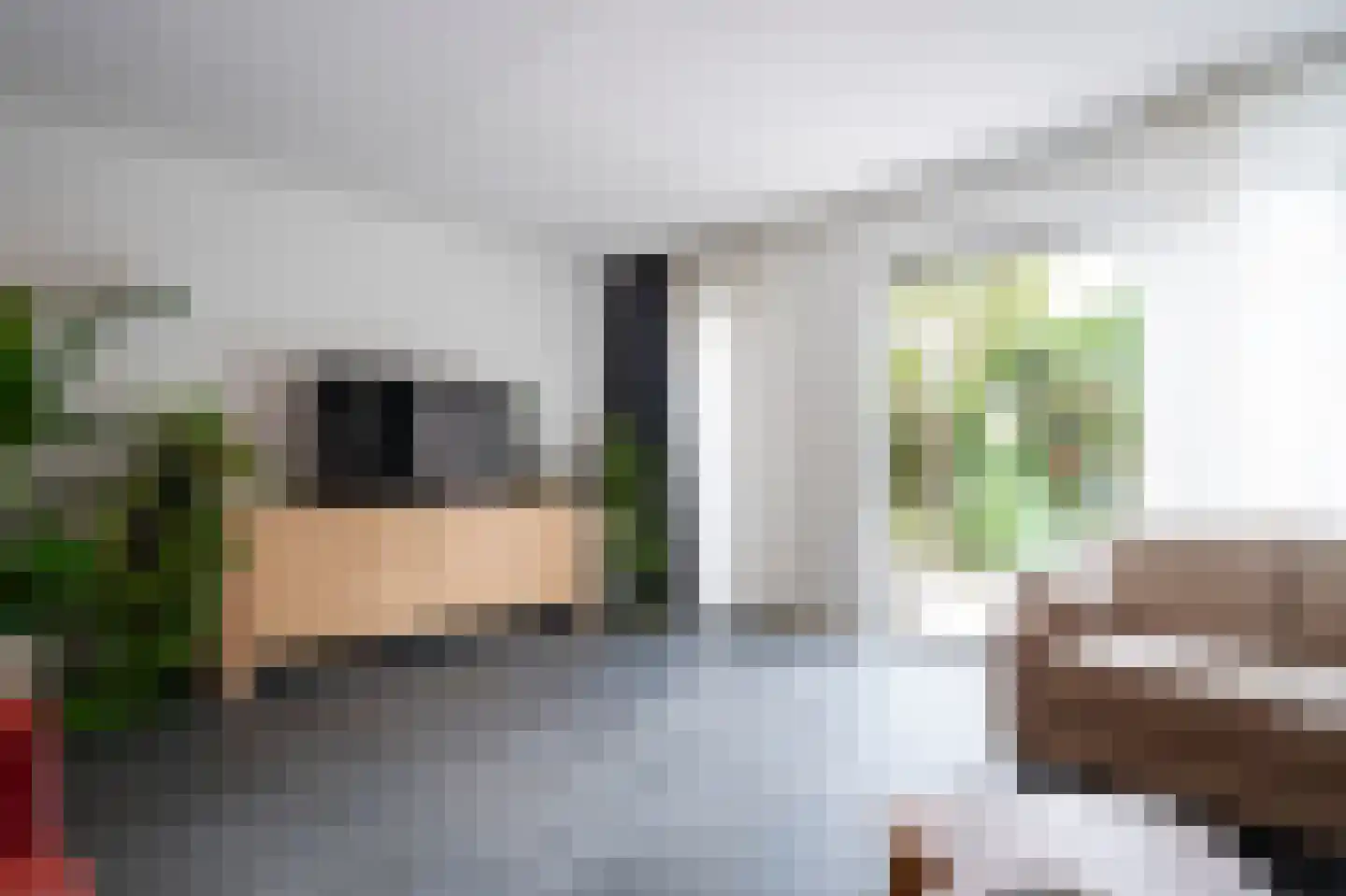 Rupsklaver 106 Rotterdam thumbnail 10