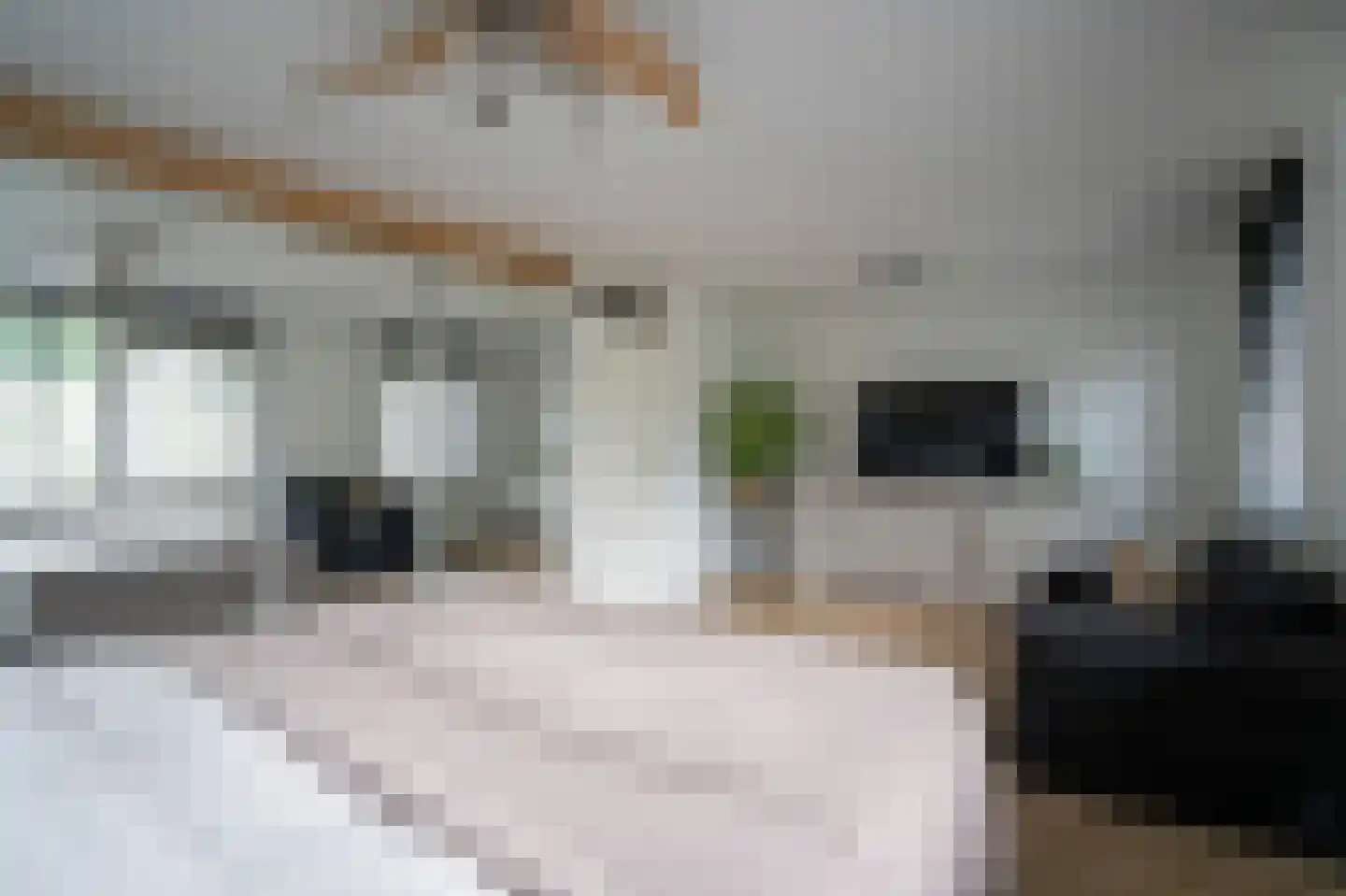 Rupsklaver 106 Rotterdam thumbnail 16