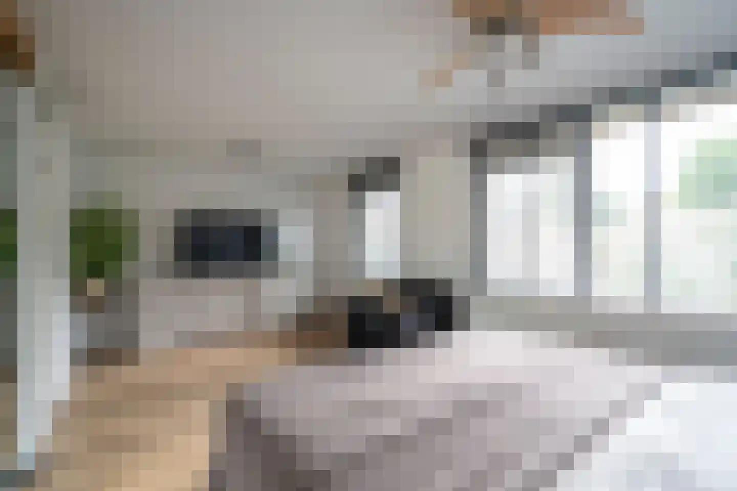 Rupsklaver 106 Rotterdam thumbnail 17