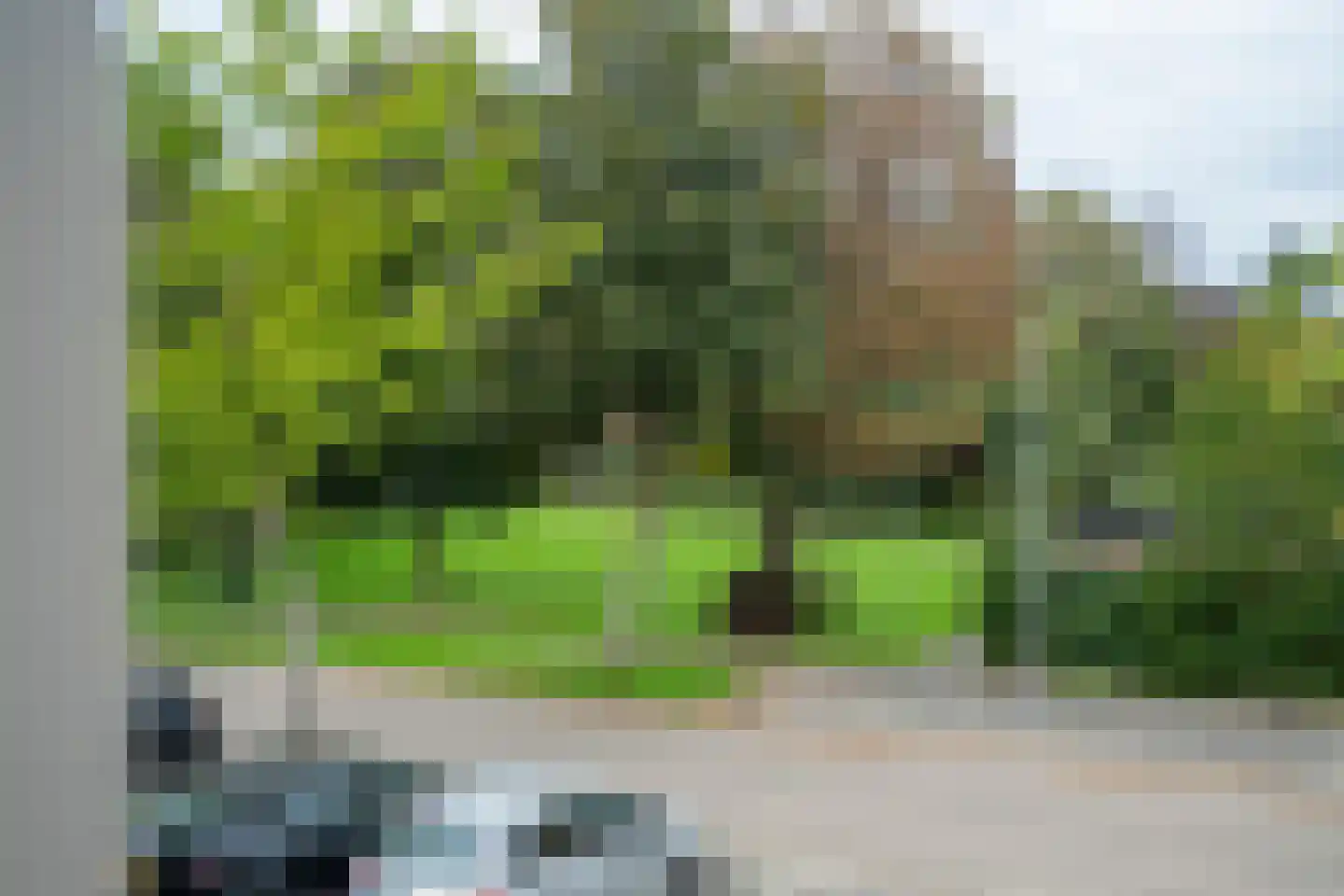 Rupsklaver 106 Rotterdam thumbnail 19