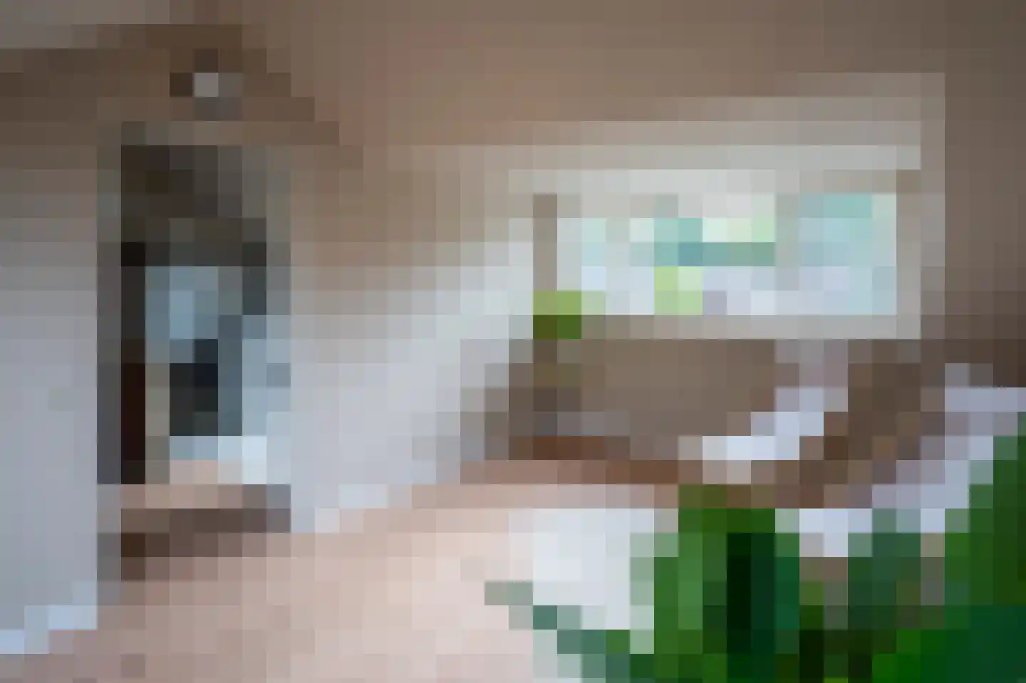 Rupsklaver 106 Rotterdam thumbnail 25