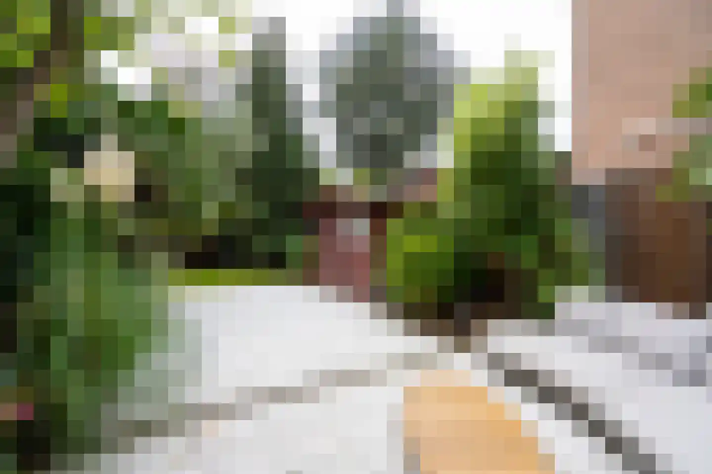 Rupsklaver 106 Rotterdam thumbnail 29