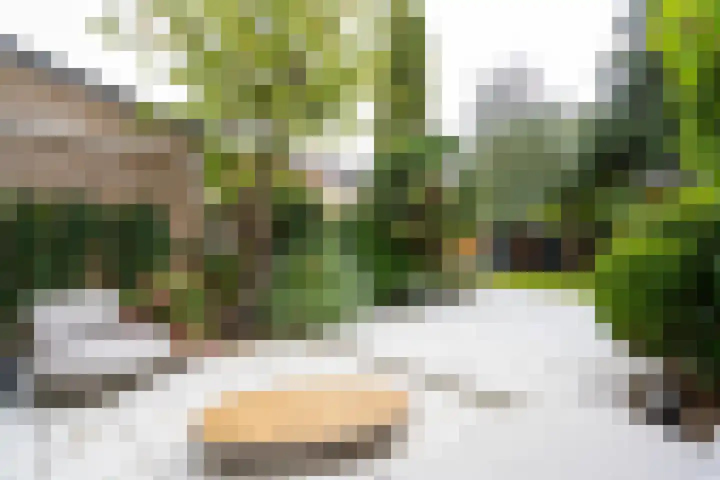 Rupsklaver 106 Rotterdam thumbnail 30
