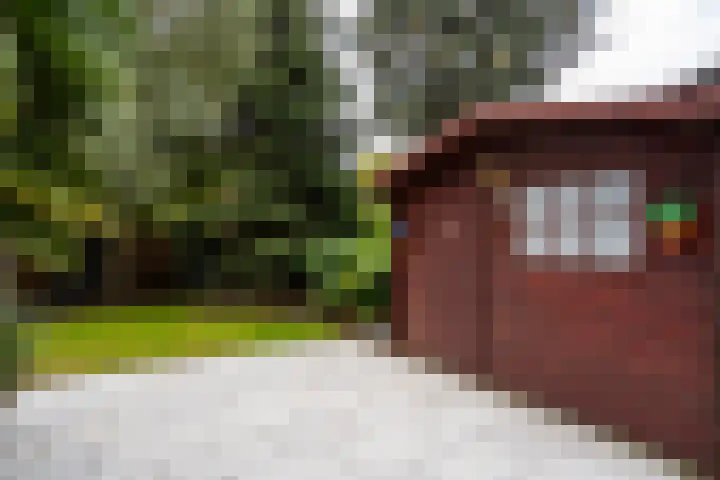 Rupsklaver 106 Rotterdam thumbnail 31