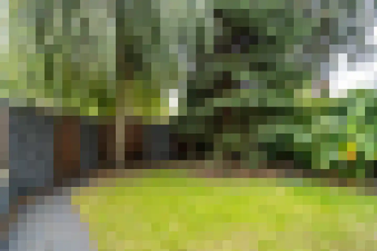 Rupsklaver 106 Rotterdam thumbnail 32
