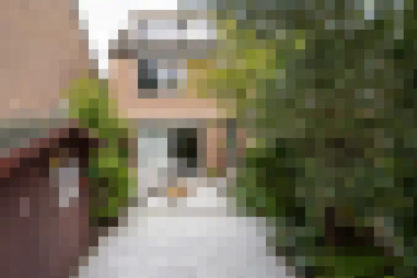 Rupsklaver 106 Rotterdam thumbnail 33