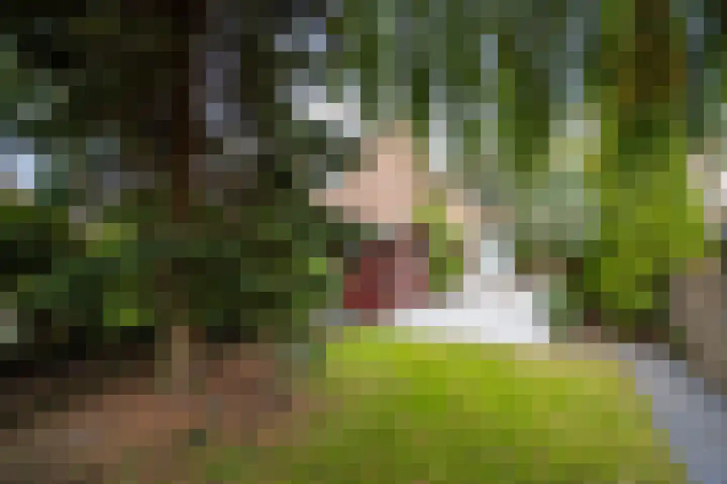 Rupsklaver 106 Rotterdam thumbnail 7