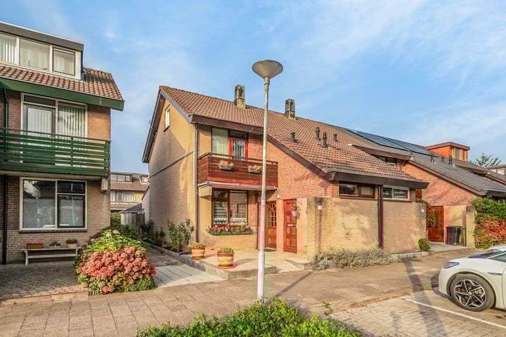 Rupsklaver 32 dans Rotterdam photo