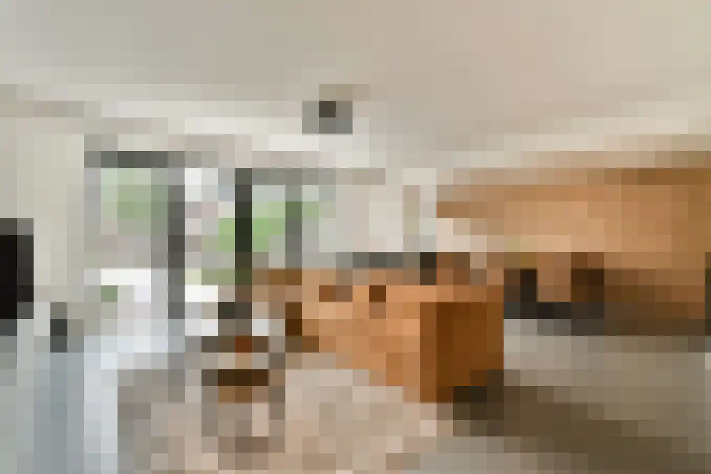 Rupsklaver 47 Rotterdam thumbnail 12