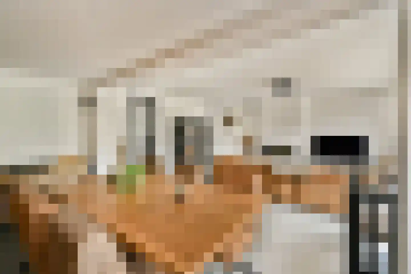 Rupsklaver 47 Rotterdam thumbnail 13