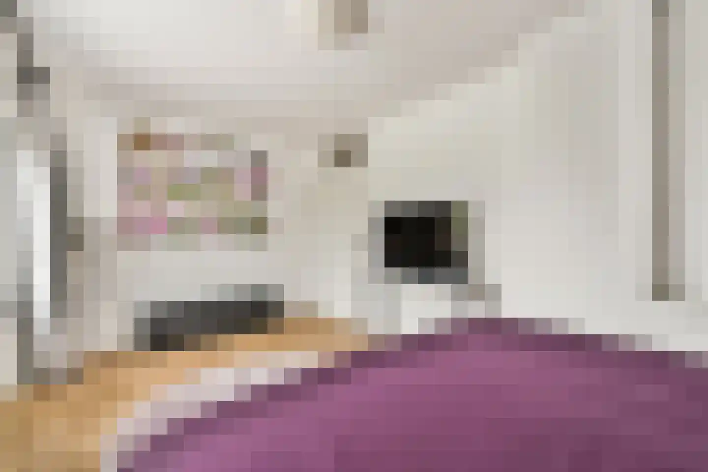 Rupsklaver 47 Rotterdam thumbnail 18