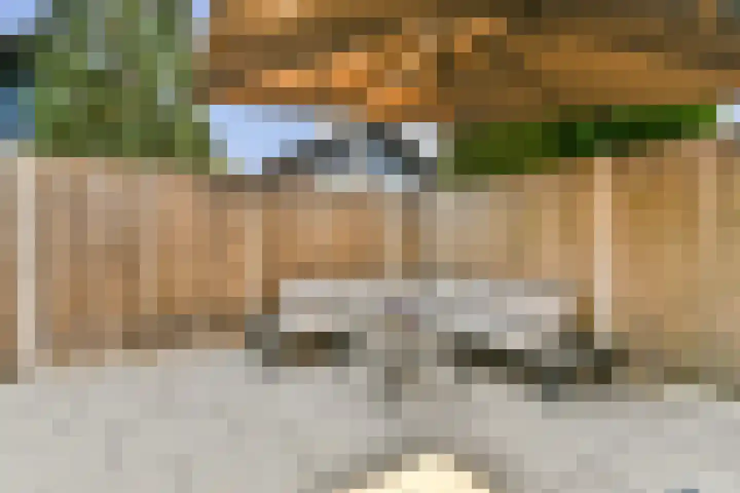 Rupsklaver 47 Rotterdam thumbnail 29