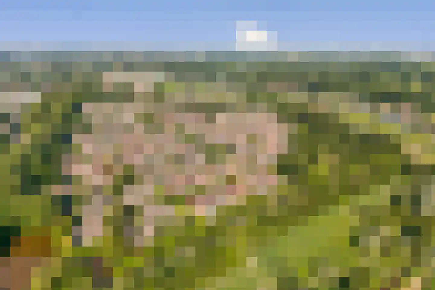 Rupsklaver 47 Rotterdam thumbnail 37