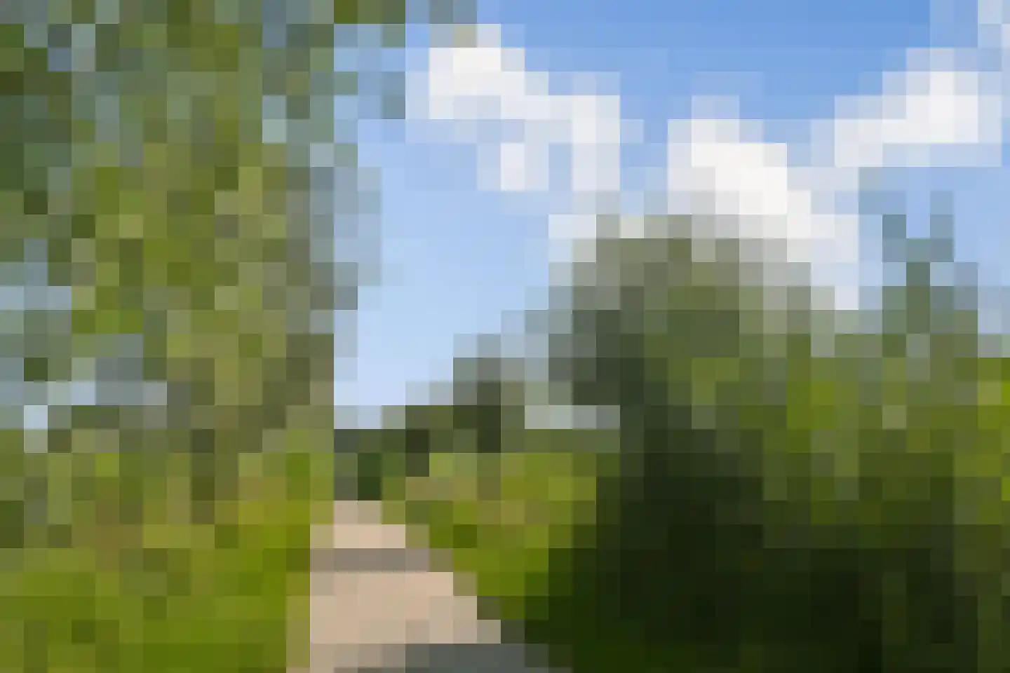 Rupsklaver 47 Rotterdam thumbnail 39