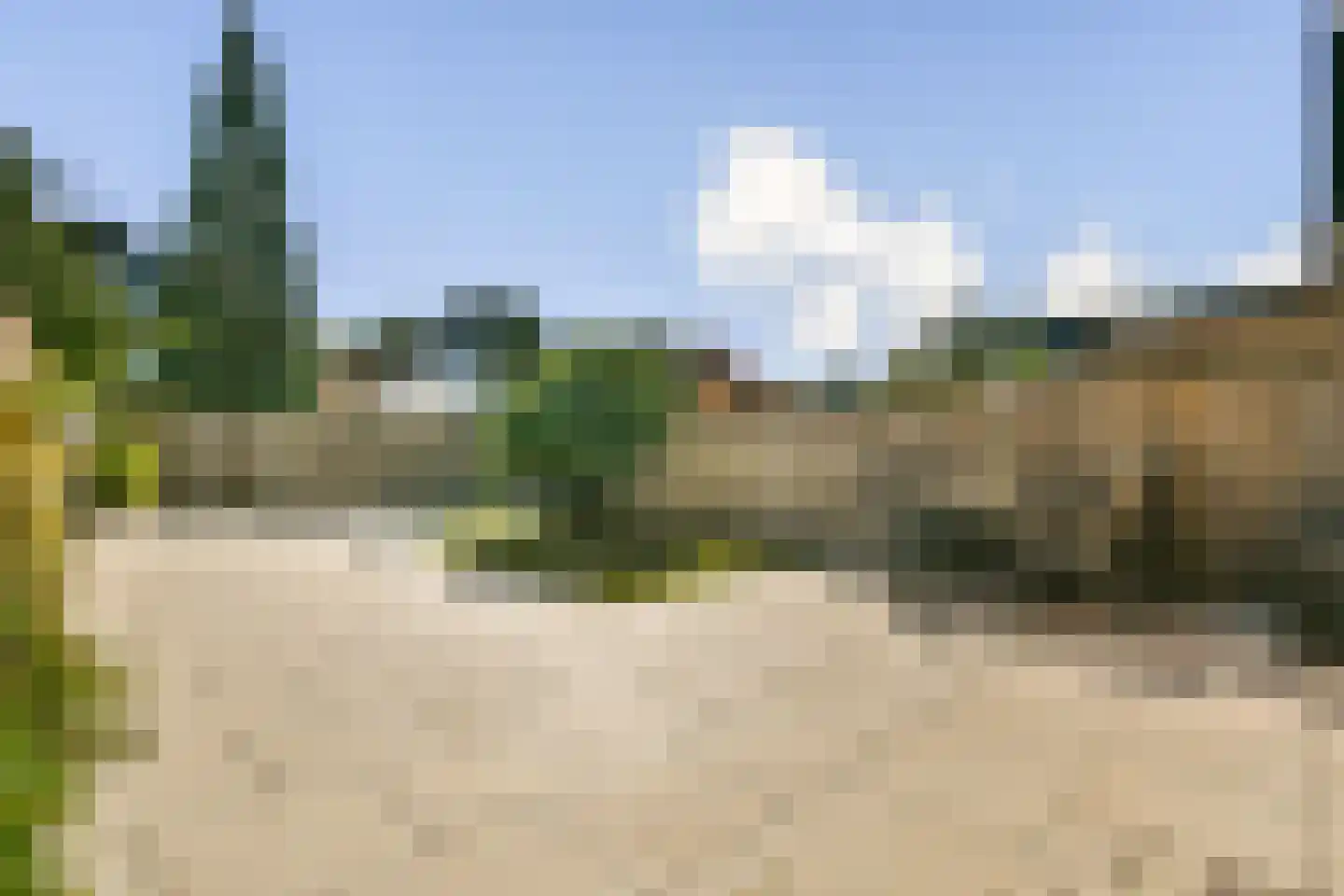 Rupsklaver 47 Rotterdam thumbnail 5