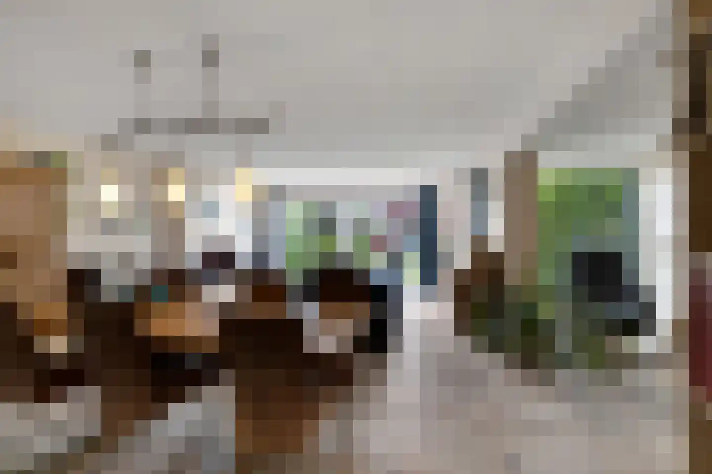 Rupsklaver 51 Rotterdam thumbnail 11