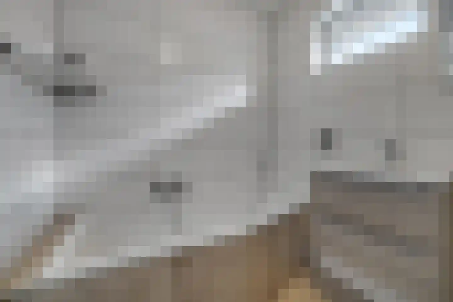 Rupsklaver 51 Rotterdam thumbnail 26