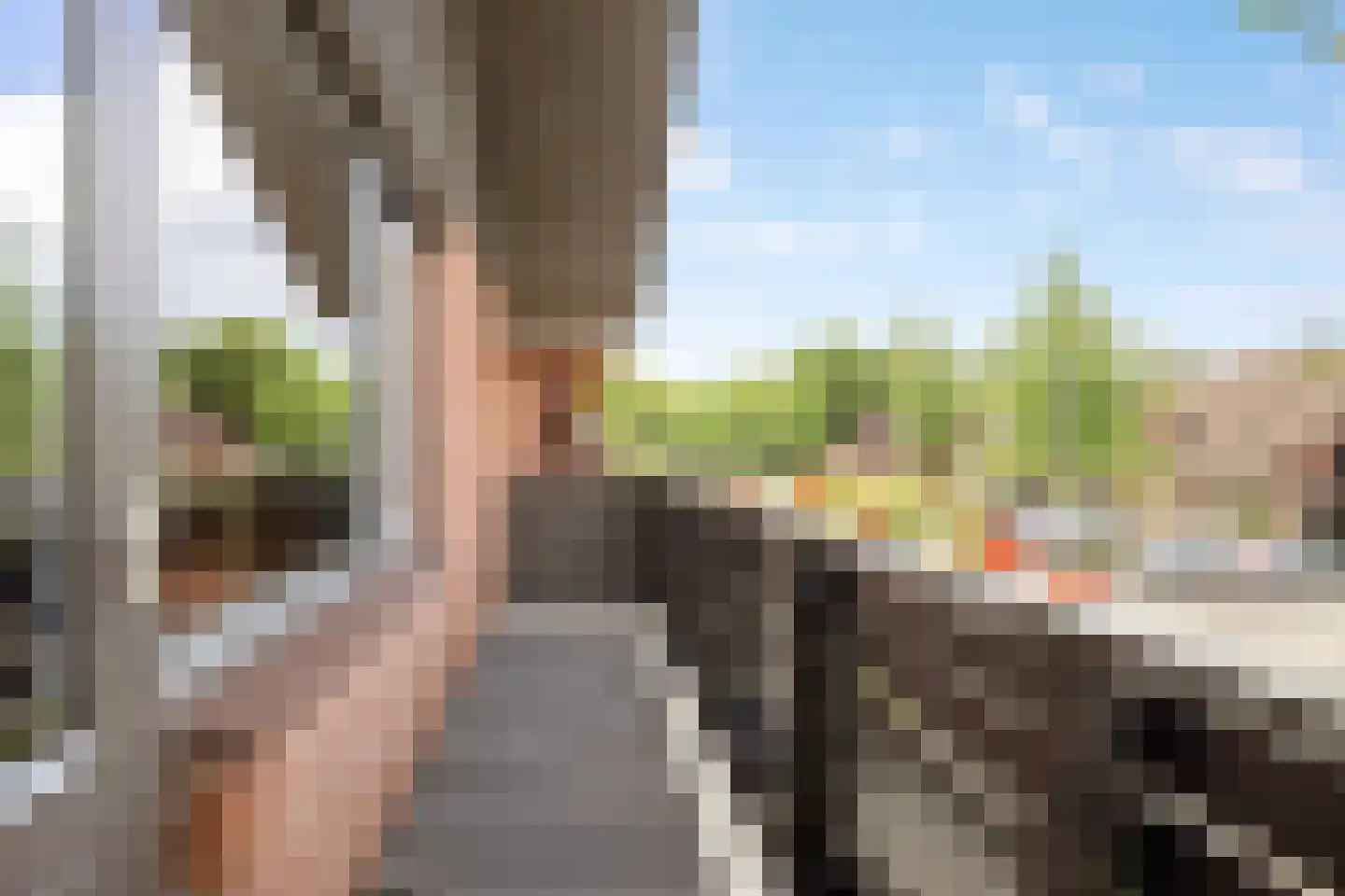 Rupsklaver 51 Rotterdam thumbnail 27