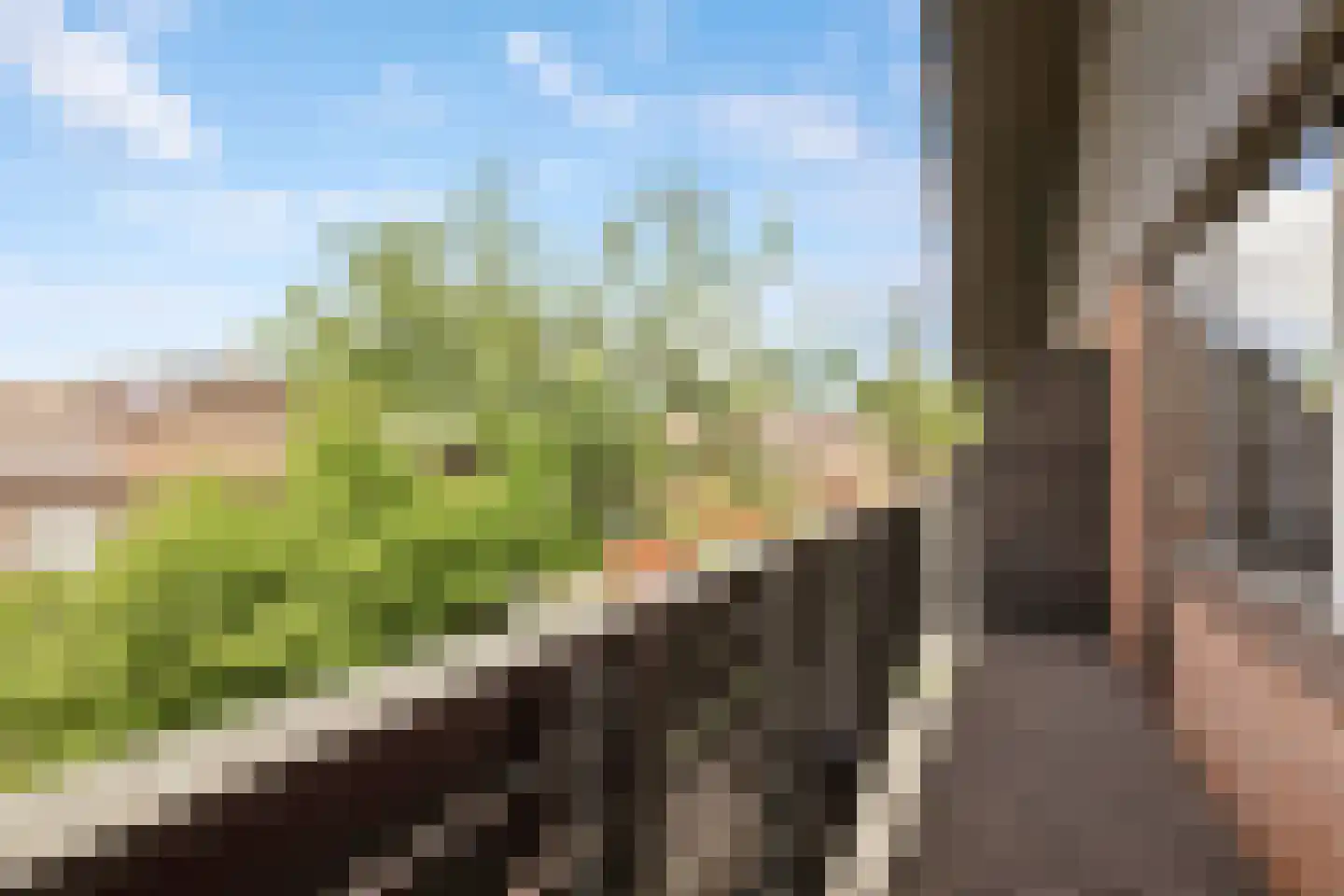 Rupsklaver 51 Rotterdam thumbnail 28