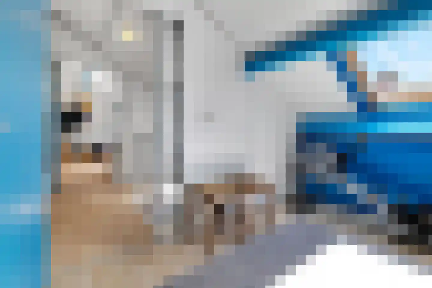 Rupsklaver 51 Rotterdam thumbnail 30
