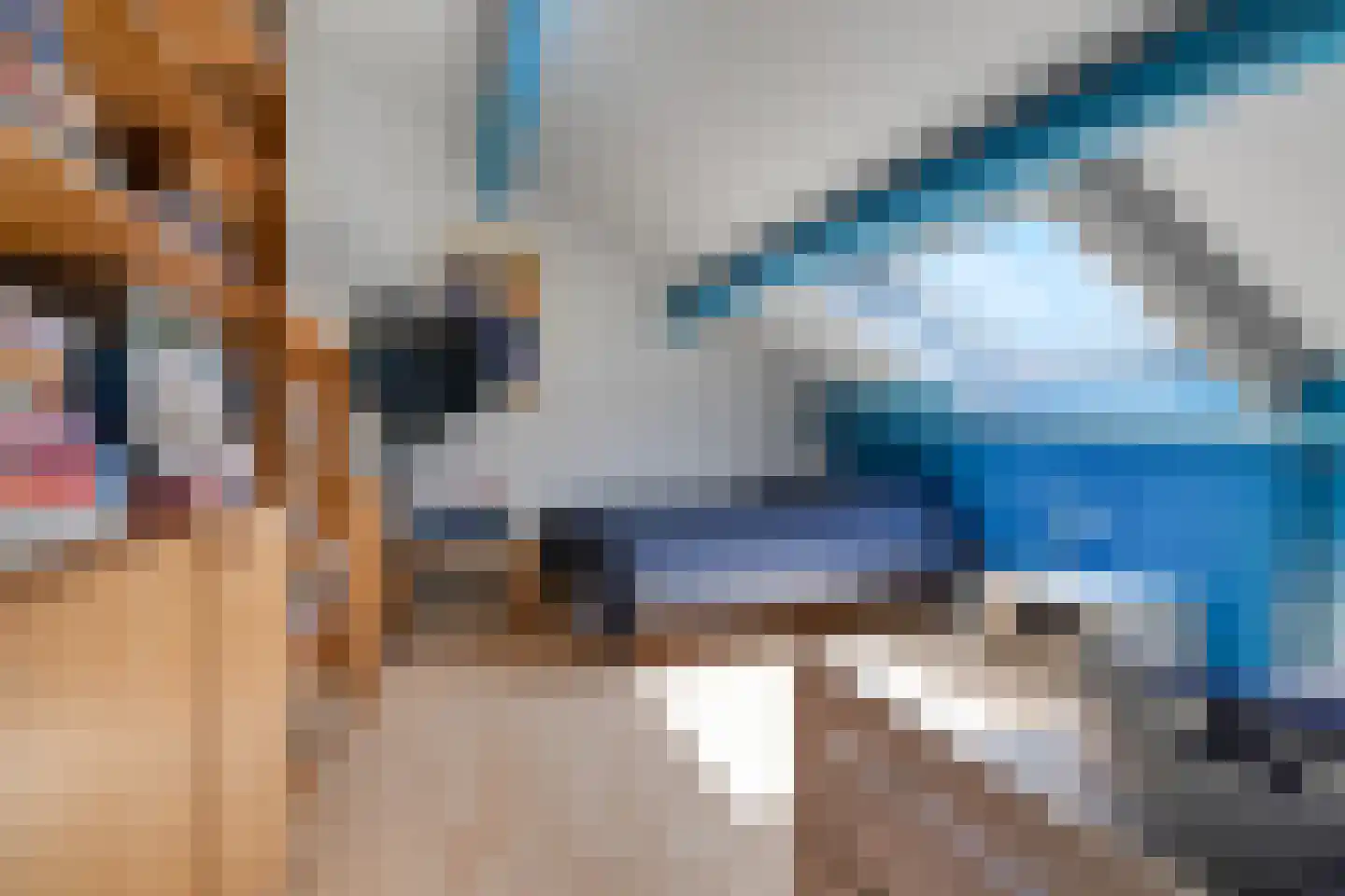 Rupsklaver 51 Rotterdam thumbnail 33