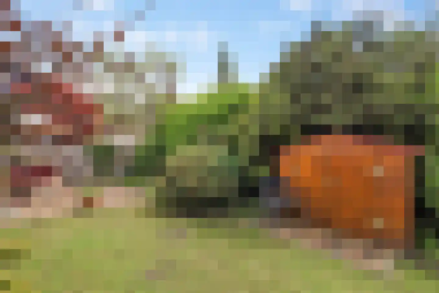 Rupsklaver 51 Rotterdam thumbnail 36