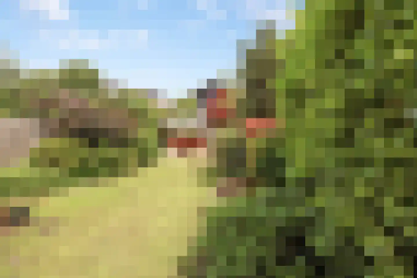 Rupsklaver 51 Rotterdam thumbnail 4