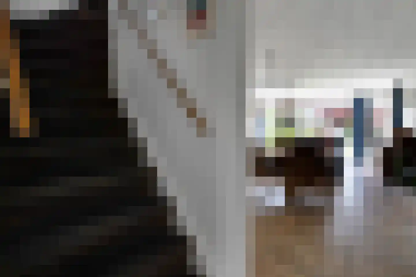 Rupsklaver 51 Rotterdam thumbnail 7