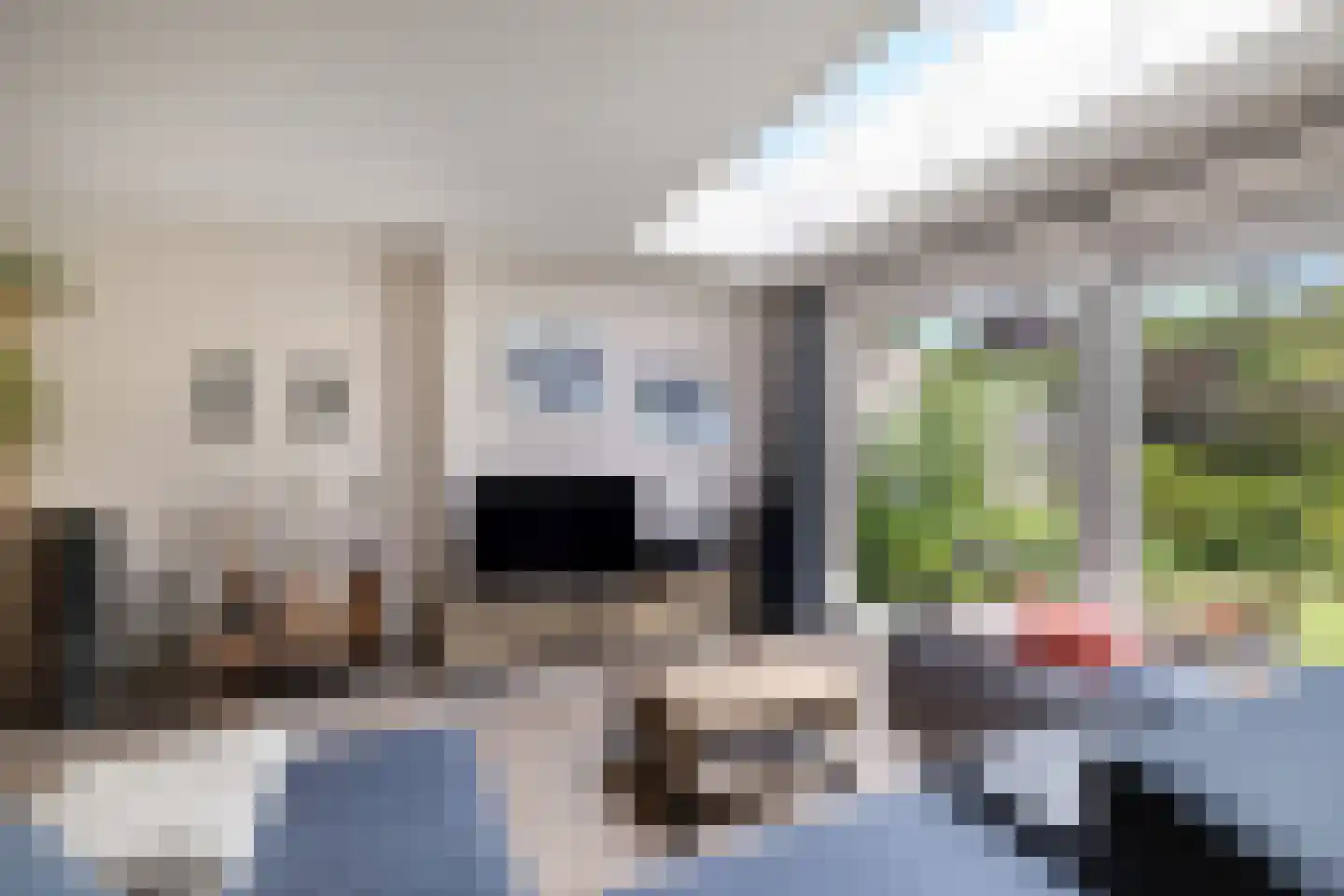 Rupsklaver 51 Rotterdam thumbnail 9