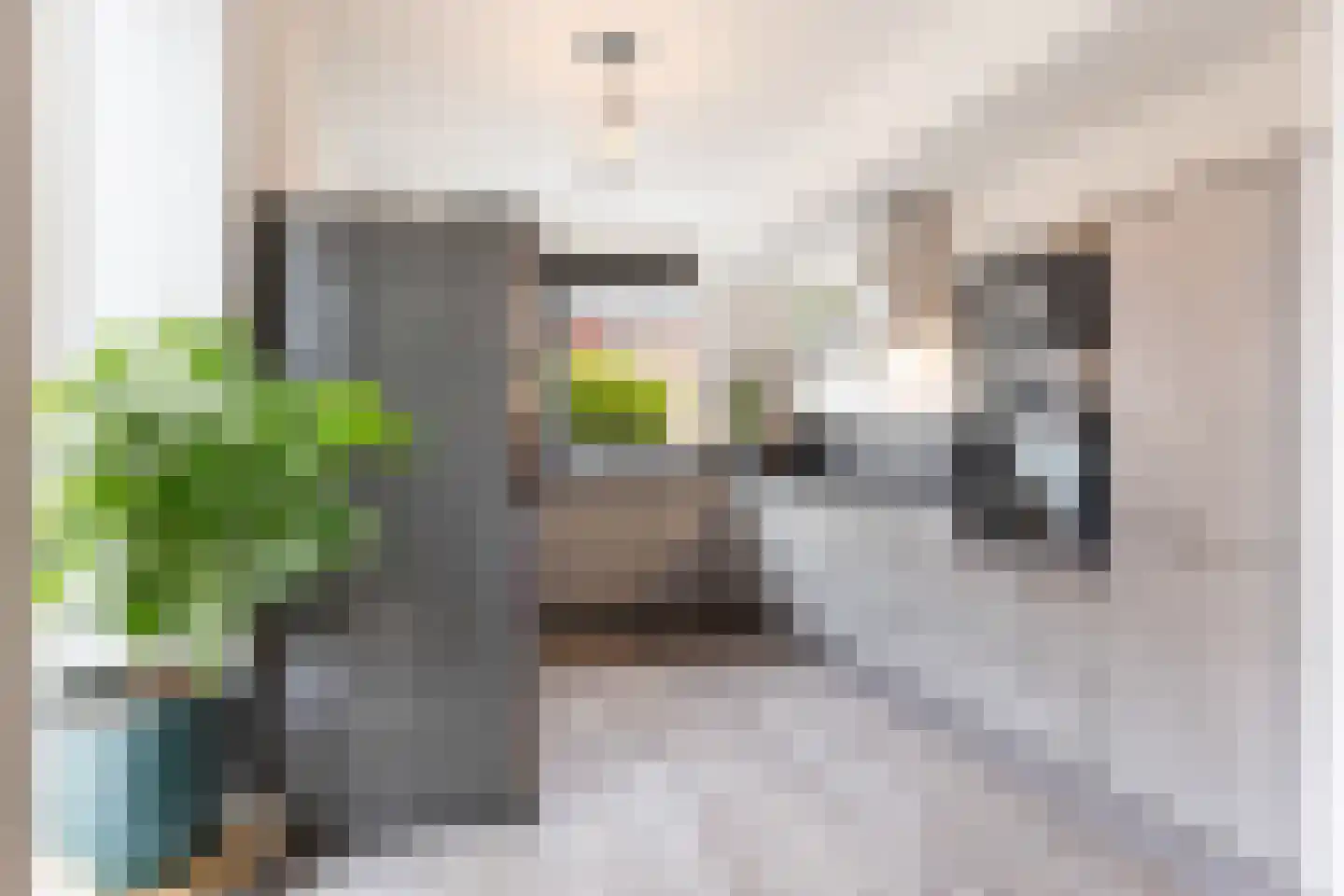 Rusalkastraat 27 Apeldoorn thumbnail 11