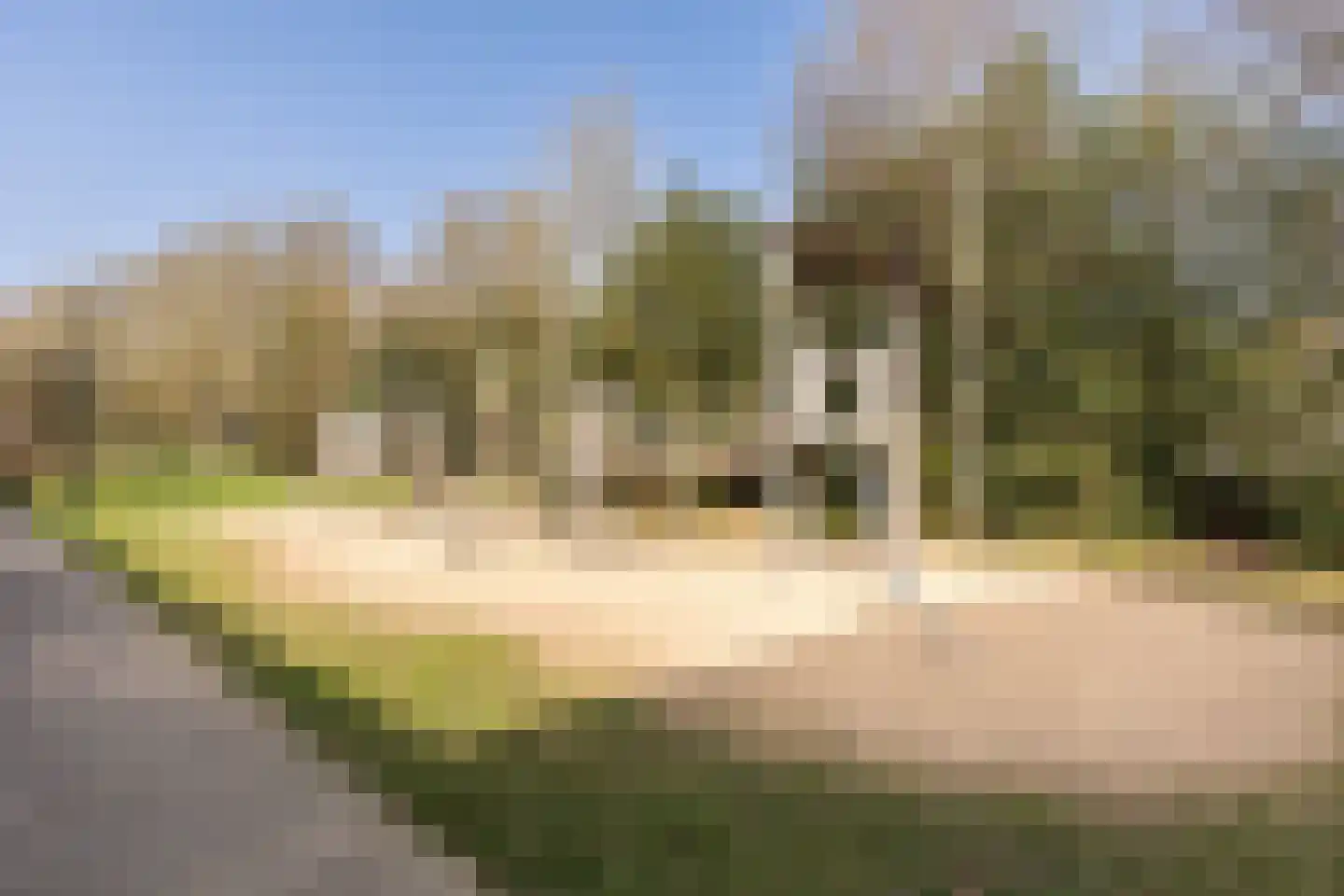 Rusalkastraat 8 Apeldoorn thumbnail 34