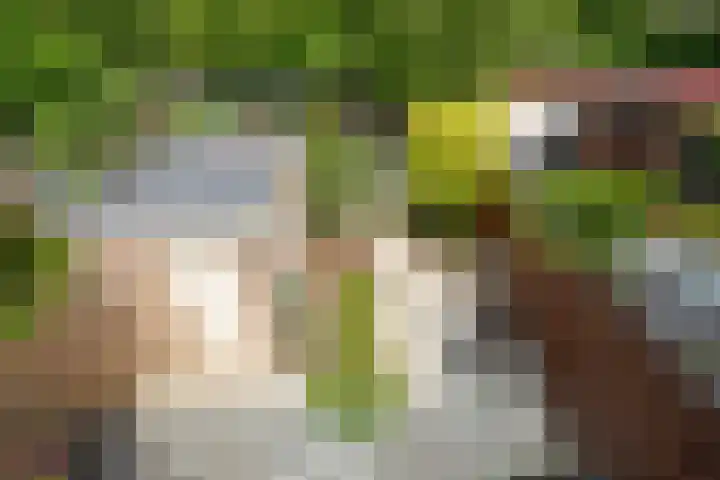 Rusburglaan 11 Santpoort-Zuid thumbnail 22