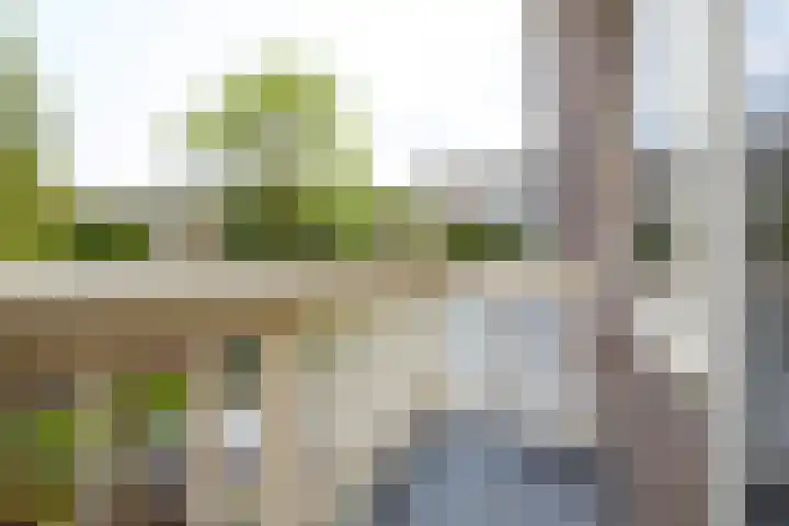 Rusburglaan 11 Santpoort-Zuid thumbnail 23