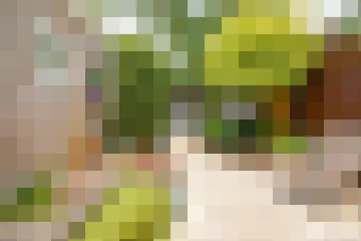 Rusburglaan 11 Santpoort-Zuid thumbnail 38