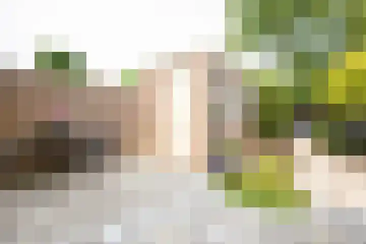 Rusburglaan 11 Santpoort-Zuid thumbnail 39