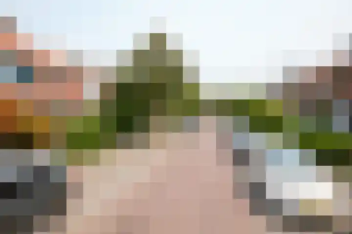 Rusburglaan 11 Santpoort-Zuid thumbnail 4