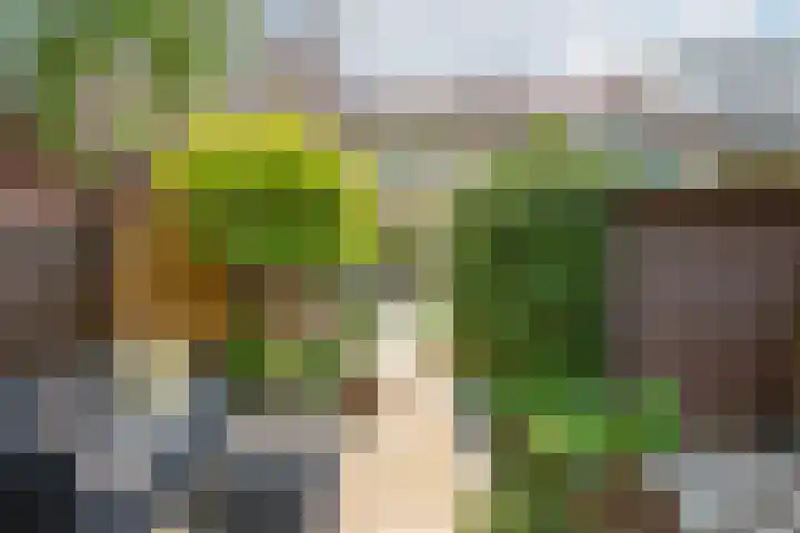 Rusburglaan 11 Santpoort-Zuid thumbnail 41